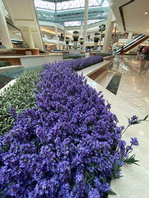 uncrowded and Beautiful Mall in Palm Beach