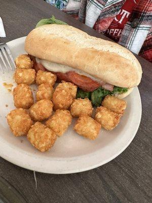 Italian Sub with tots