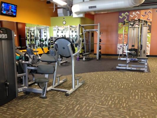 Clean upscale workout environment, comfortable for all types of exercisers, from beginners to the advance athlete.