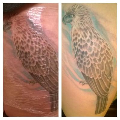 Realistic Philippine eagle thigh piece. About 11x5. Just over $200. Casey gave a discount for my birthday & for donating toys.