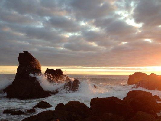 Just north of Bodega Bay