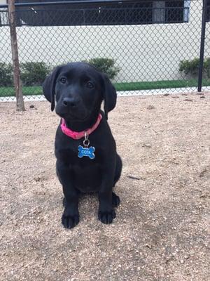 Cota was feeling much better after seeing the great crew at blue bonnet!