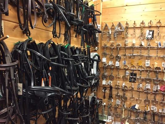 Bridles and bits