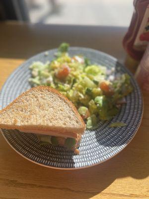 Half salad half sandwich