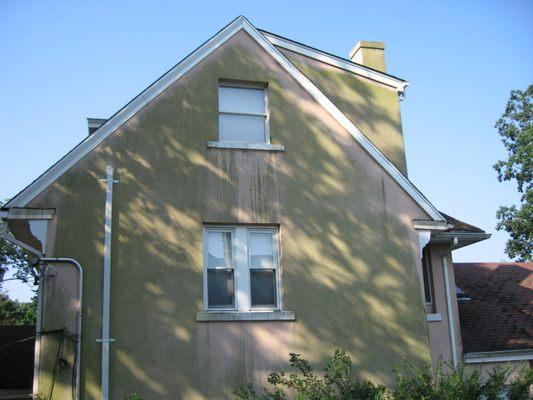 Green Mold Attacking Stucco surface