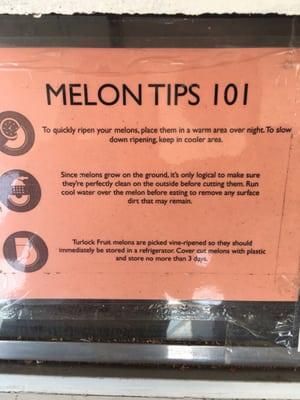 Melon Tips