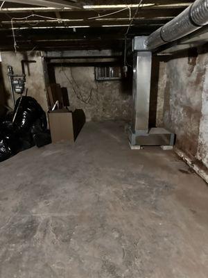 Basement garbage removal