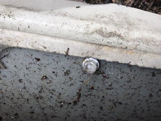 Zip screws in rear gutter wall.  Why?