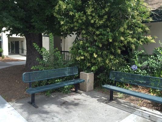 Beautiful day to sit outside and have a conversation with her friend