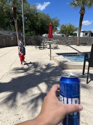 Hunting for lizards by the pool.