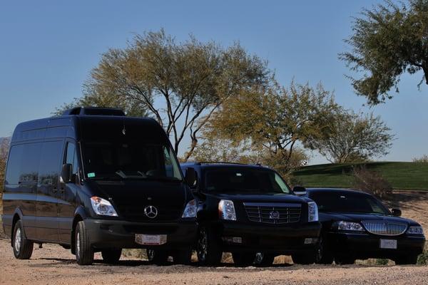 Mercedes Sprinter, Cadillac Escalade ESV, and Lincoln Town Car Executive L