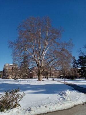 Main campus