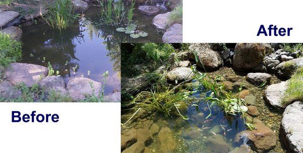 What's the good in having a koi pond when you can't see the koi? Complete Ponds will help you see clearly now...