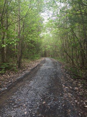 Irving Trail, wise, flat, gravel.