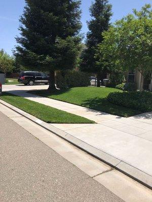 Lawn with a fresh cut! Happy customer!