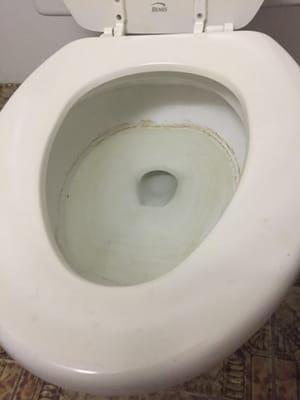 Seriously this was what my toilet looked like when they left.  Disgusting!