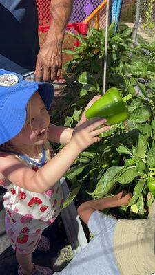 Gardening is one of our favorite activities.