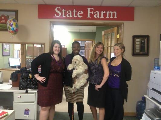 The current team with Bella, the office mascot!