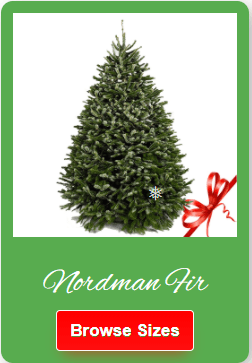 https://nicechristmastrees.net/order-online/