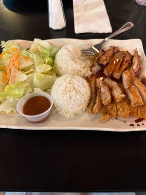 16. Teriyaki Chicken & Chicken Katsu