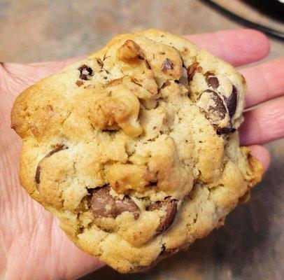 Chocolate Walnut Cookie