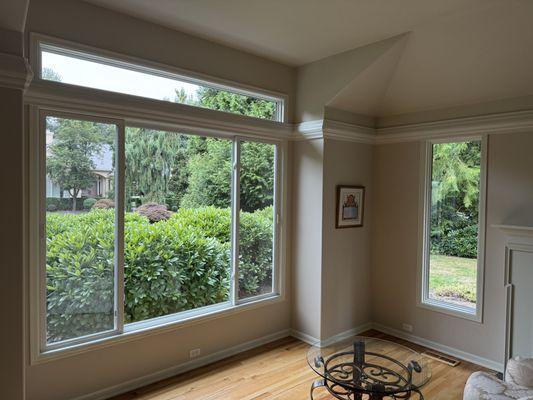 Huge family room window