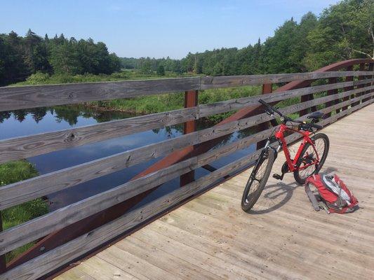 Rental bike