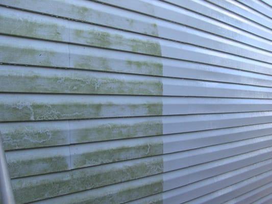 House Wash Services: Removes algae and mildew from your exterior siding to look like new!