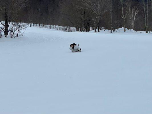 The exhilarating sled mentioned in my review!