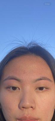 This is a picture of what my eyebrows looked like in may . I showed her this picture.