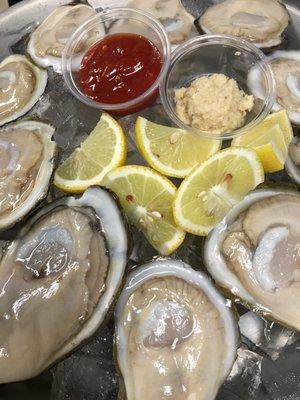 Oysters