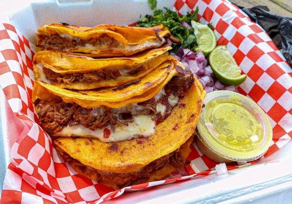 QuesiBirria Tacos Plate