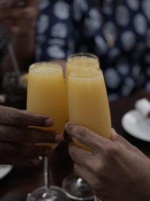 Mimosas !