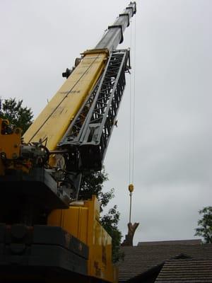 Tree Removal using crane