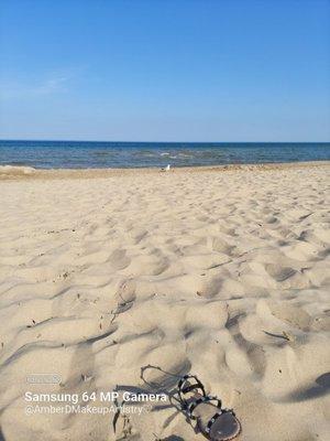 A seagull in the sunny sand watching the beach goers near the shore! A relaxing day near the water!