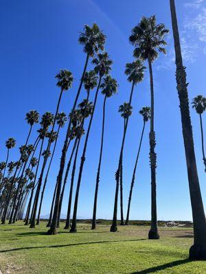 Cabrillo Beach Bike Path