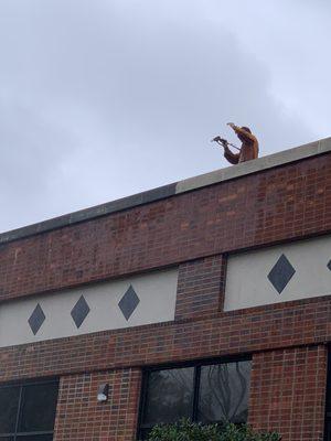 Pressure washing building