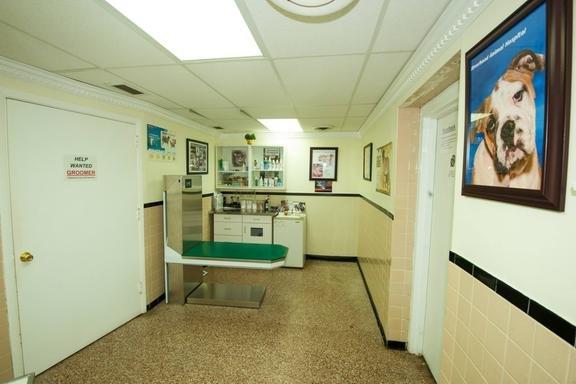 Riverhead Animal Hospital