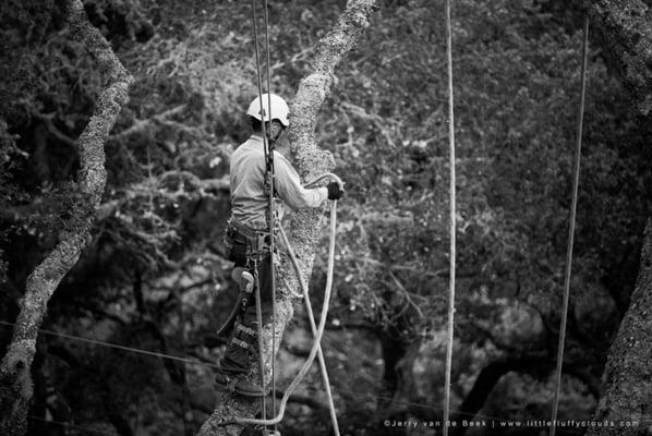 Jerry van de Beek in Mill Valley, CA. What a cool day job!