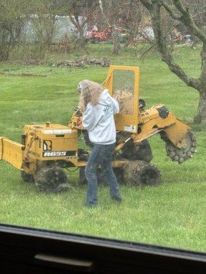 Budget Stump Grinding