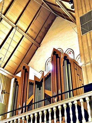 Another organ view