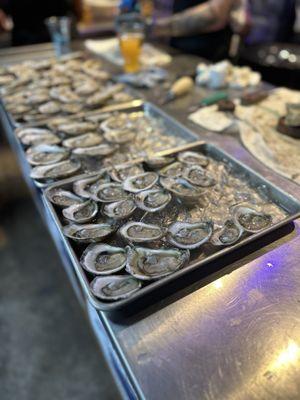 Gulf Oyster Fest