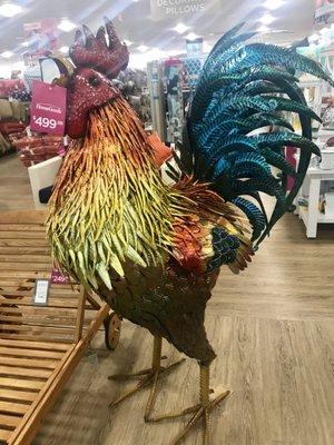 $500 Rooster