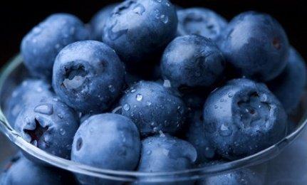 Blueberry season usually starts at the beginning of June.