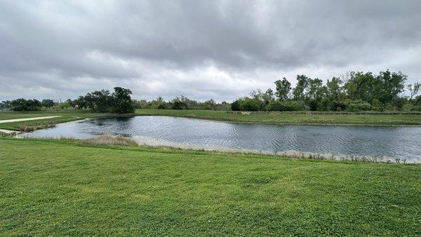 The lake on apartments territory