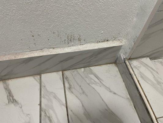 More mold, filth and body hair. Bathroom unclean upon check in