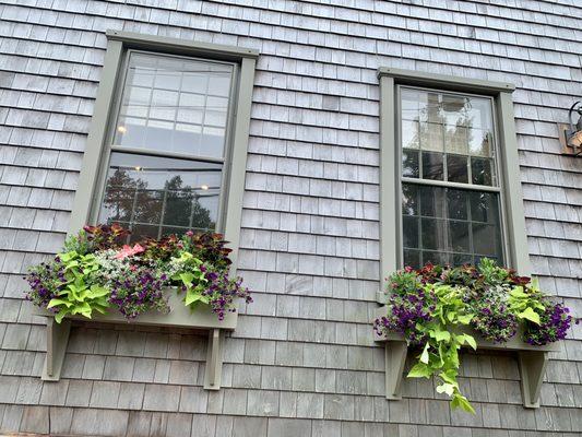 Front of home window boxes