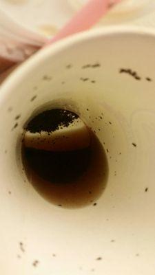 Common decency should tell you not to serve me tea leaves (top and bottom of photo)