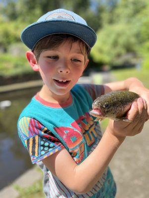 Gold Creek Trout Farm