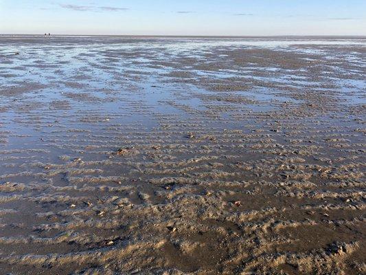 The famous tidal flats within walking distance.